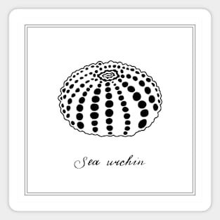 Sea Urchin. Retro style illustration. Magnet